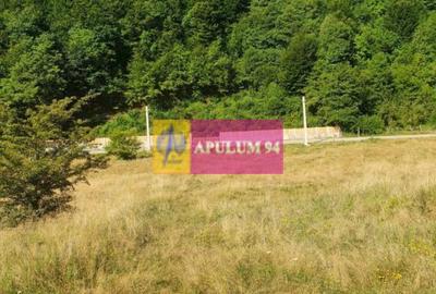 Teren Județul Vâlcea - Brezoi, Valea lui Stan - 24