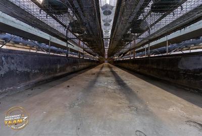 FILM! Ferma de iepuri,Malnas,Covasna: domeniu:industrial/comercial,asset UE - 36