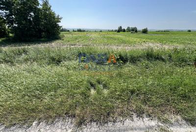 Teren 9969 mp, situat la E85, între două intrări pe autostrada A7 - 5