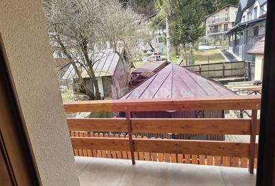 Apartament 2 camere, etaj 1, de vanzare in Busteni - 5