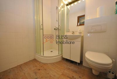 Apartament 2 camere în zona Domenii - 14