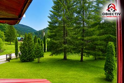 Cabană de Vânzare în Tarcău – Natură, Relaxare și Pescuit la Poartă! - 7