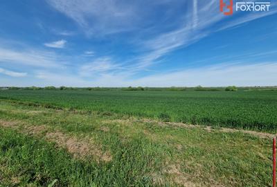 Teren extravilan de 9500 mp de vanzare in Remetea Mare - 3