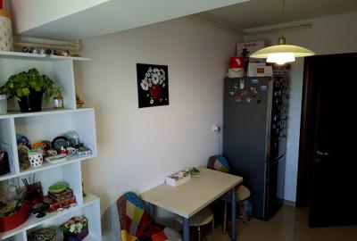 2 camere Craiovei , mobilat / utilat , Amplasament DEOSEBIT !!! - 13