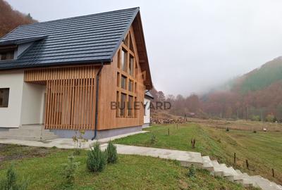 Proprietate cu potențial turistic în zona montană a Țării Lăpușului - 5