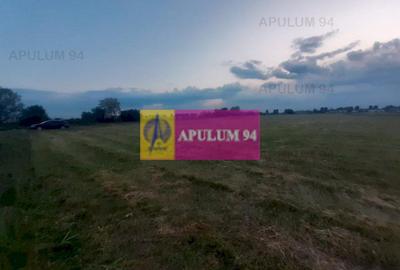 Teren aproape de Bucuresti langa padure - 17