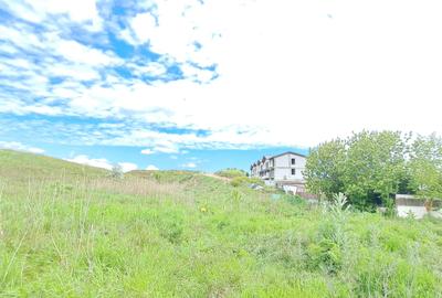 TEREN INTRAVILAN PE MALUL MARII 1.500 MP. IDEAL CONSTRUCTII TURISTICE RESTAURANT - 9