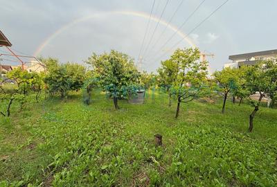 Vila cu 13 camere si 3000 mp de teren in Sanmartin, Bihor - 5