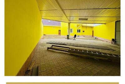 De inchiriat cladire comerciala potential P+M Gradiste Arad - 34