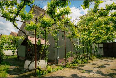 Casa de familie in zona rurala linistita - 7