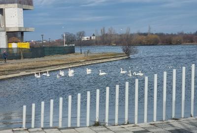 Arhitectură contemporană într-un cadru natural, aproape de Bucuresti - 50
