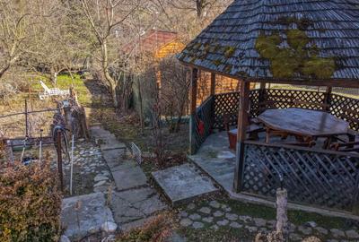 Proprietate cu potențial, 2 case și teren generos, Bran – Predelut - 4