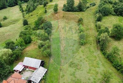 Teren 6,865mp Voroneț / Gura Humorului / Bucovina - 18