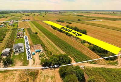 Teren intravilan construibil Bolintin Deal 5000 mp – dublă deschidere - 2