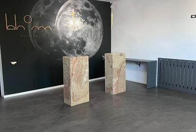 DELFINARIU SPATIU MODERN CENTRAL  BIROURI/CLINICA - 3