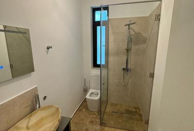 Apartament 2 camere ultracentral - 12