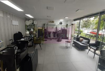 Spatiu Comercial Stradal Șoseaua Colentina zona Teiul Doamnei Suveica - 1