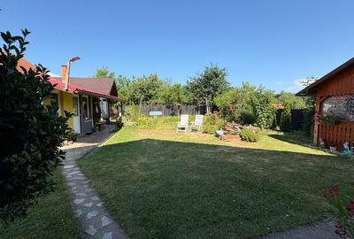 Casă Spațioasă și Domeniu Generos de Vânzare în sat Râu Barbat, comuna Pui, HD - 8