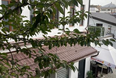 Apartament 4 camere Calea Calarasi / Hala Traian in vila - 11