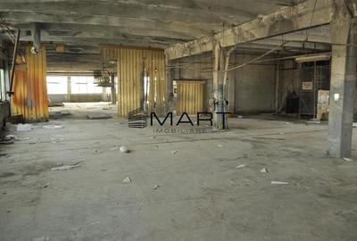 Hala industriala 1600mp zona Lazaret str. Dorobantilor - 3