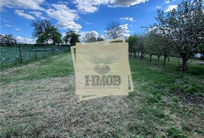 Casa individuala 120mp | anexe | teren 1300mp | Miercurea Sibiului - 14