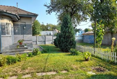 Vand  pe Gh.Doja casa cu 4 camere,917 mp teren - 8