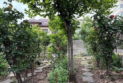 Apartament 2 camere in vila cu curte Parcul Circului - 13