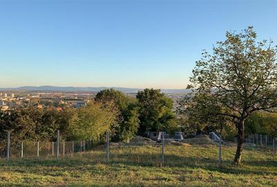 Teren 24 de ari zona Miron Costin - 1