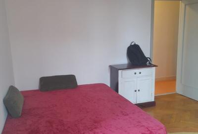 DOROBANTI ,IANCU DE HUNEDOARA GARSONIERA  PET FRIENDLY INCHIRIERE - 13