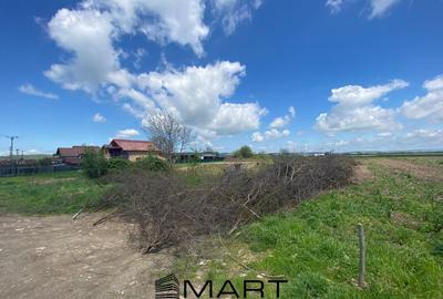 Teren intravilan 7130mp Orlat - 2