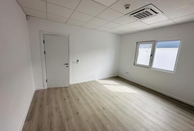 Hala industriala nouă ,499 mp construiti, zona Rudeni-Chitila, Centura Vest - 12