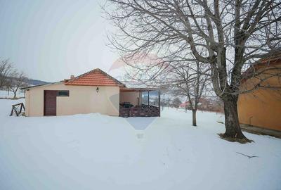 Casă cu 4 camere din cărămidă, de vânzare în zona Bratca-Damiș - 41