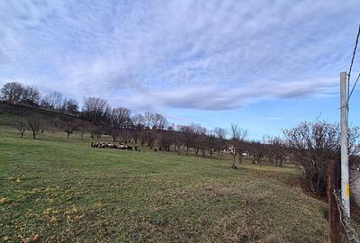 Teren intravilan  Vălenii de Munte – 9.123 mp | Deschidere 45 ml | Lângă râul Te - 8