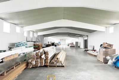 HALA INDUSTRIALA DE VANZARE | PECICA – ARAD - 6