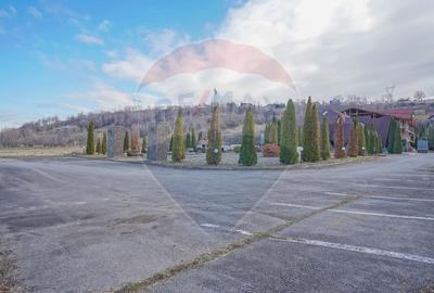 Complex turistic + restaurant la intrare Bran – 47 camere 11.627 mp - 14
