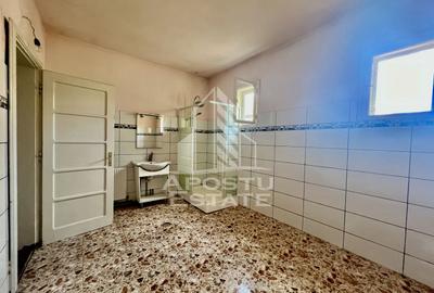Casa individuala de vanzare, zona Sagului Timisoara - 20