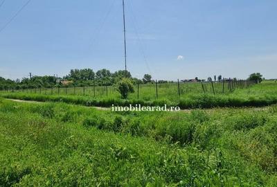 Teren intravilan 10.000mp cu utilitati, imprejmuit, Loc. Sanleani intre case, pr - 10