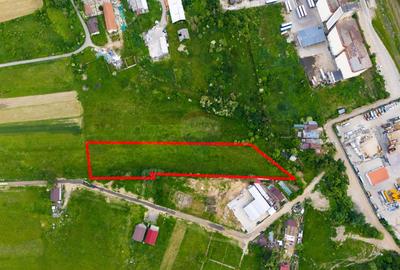 Teren industrial intravilan 9.810 mp – Bascov, acces A1, E81 - 6