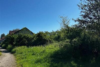 RECO Teren intravilan Beius - 1