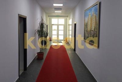 Clădire Comercială Multifuncțională de Vânzare – Zona Stefan cel Mare - 4