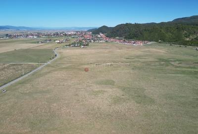 Teren extravilan Rasnov - 14