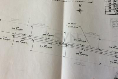 REL4000144 Teren DN1 - Padurea Petresti - 5