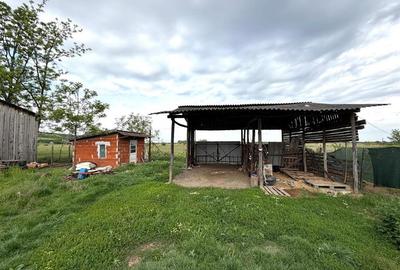 CASA CU TEREN 1081 MP | ACCES AUTO | ZONA SACUIENI | LOCALITATEA CADEA | BIHOR - 26