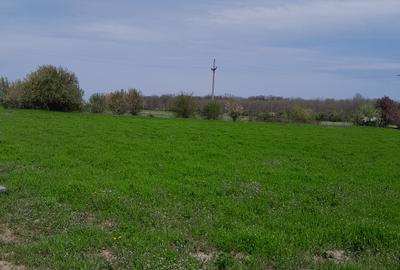 Buftea, teren industrial 16.635 mp, acces paralel cu noua centura - 3