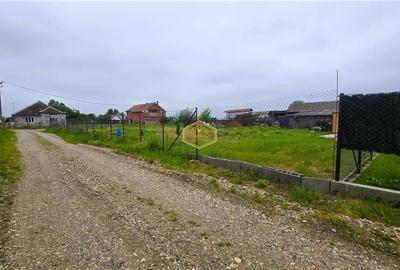 VIDEO | Casa cu teren generos si deschidere la 3 strazi | 10 minute de Satu Mare - 24