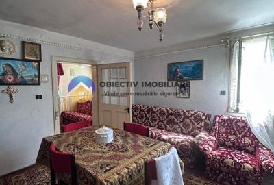 Casa tradițională de vânzare - Alexandru cel Bun - 18