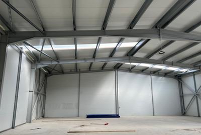 Hale industriale de inchiriat -  500 - 590 mp - Tunari - 3