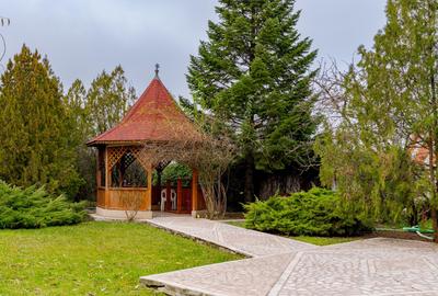 Vilă cu piscină și cabană, teren 2649 mp, Snagov - Ciofliceni - 16