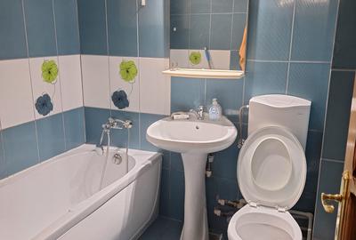 Abator, Sos. Mangaliei, 2 decomandate, 52 mp, mobilat si utilat, gaze, 400 Euro - 11