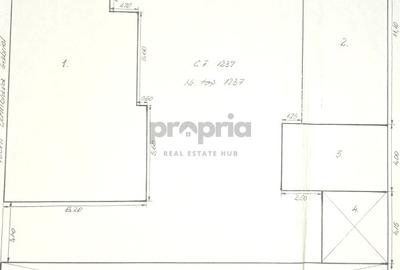 CASĂ CU 2 CORPURI  - ORAȘ RUPEA - 15